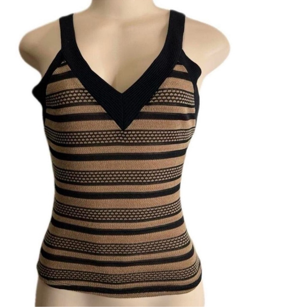 Sleeveless V-Neck Striped Knit Tank Top - Black & Tan